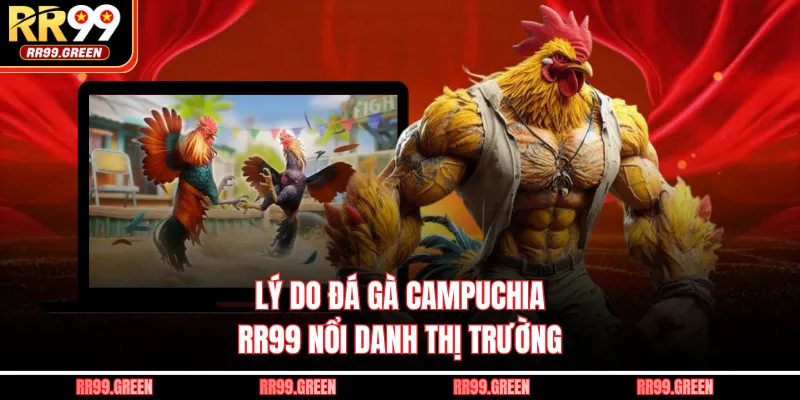 Lý do đá gà Campuchia RR99 nổi danh thị trường